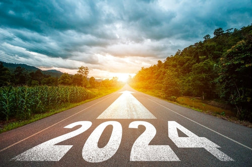 Raydel's Year in Review